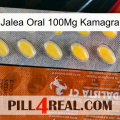 Oral Jelly 100Mg Kamagra 42